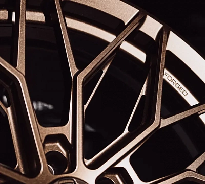 Variant Alloy MAXIM