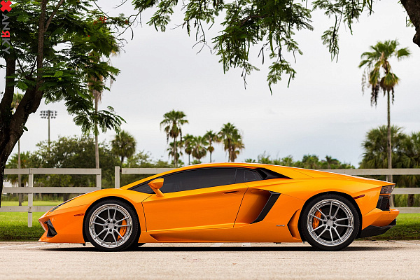Фото дисков Anrky AN34 Сатиновый лак на Lamborghini Aventador