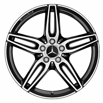 Кованые диски Mercedes-Benz AMG 5 Twin Spoke v10