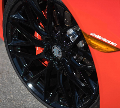 Фото дисков HRE P200 на Porsche 911 VII