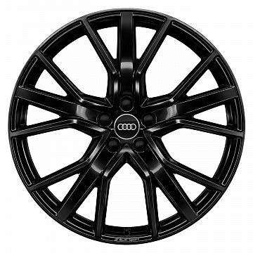 Кованые диски Audi Triple Y Spoke Sport