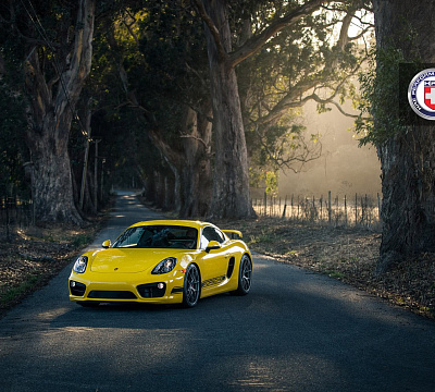Фото дисков HRE P101 на Porsche Cayman II