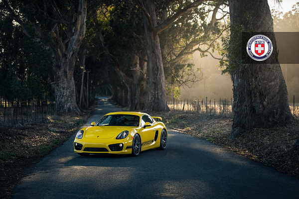 Фото дисков HRE P101 Сатиновый графит на Porsche Cayman II