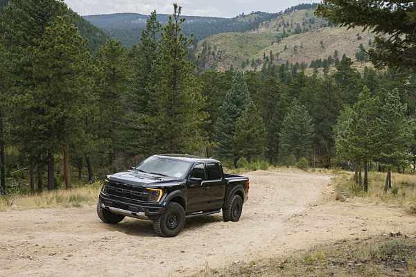 Ford F-150 XIV