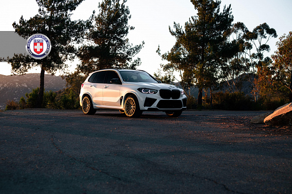Фото дисков HRE P103SC Сатиновое золото на BMW X5/X5 M (G05/G18/F95)