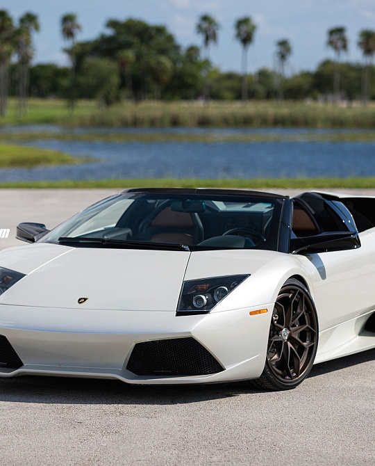 Фото дисков S201H Сатиновая бронза на Lamborghini Murcielago