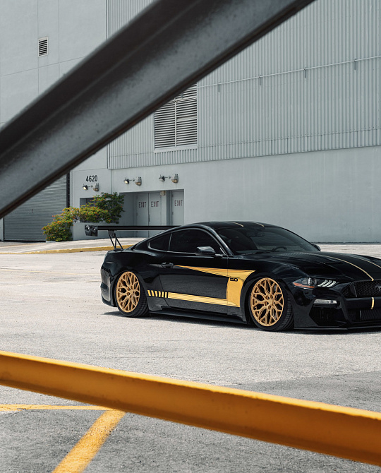 Фото дисков HF-2 Глянцевое золото на Ford Mustang VI