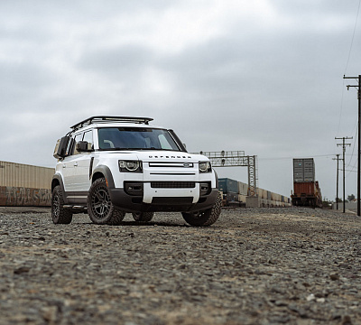 Black Rhino ALSTON