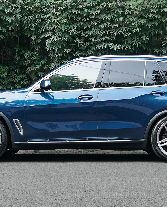 Фото дисков EVO-1R Глянцевый тонированный лак на BMW X5/X5 M (G05/G18/F95)