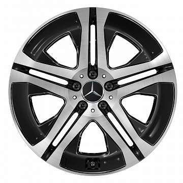 Кованые диски Mercedes-Benz 5 Twin Spoke v41