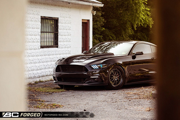 Фото дисков BC Forged LE81 // MLE81 Матовый графит на Ford Mustang VI