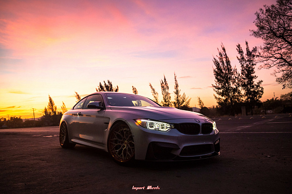 Фото дисков Vossen S17-01 (3-Piece) Глянцевый лак на BMW 4/M4 (F32/F82)