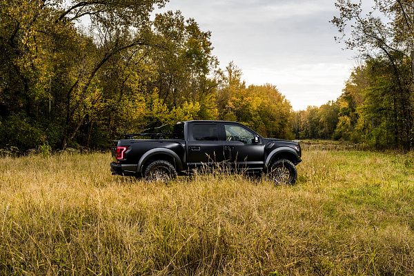 Ford F-150 XIII