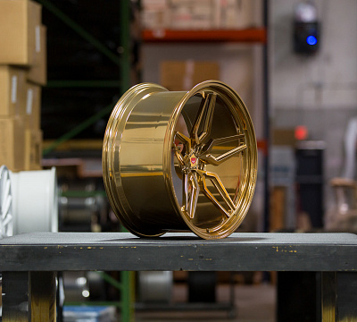 Vossen ML-X1