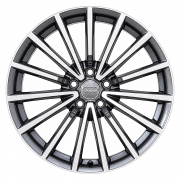Кованые диски Audi 15 Spoke S-Line F5