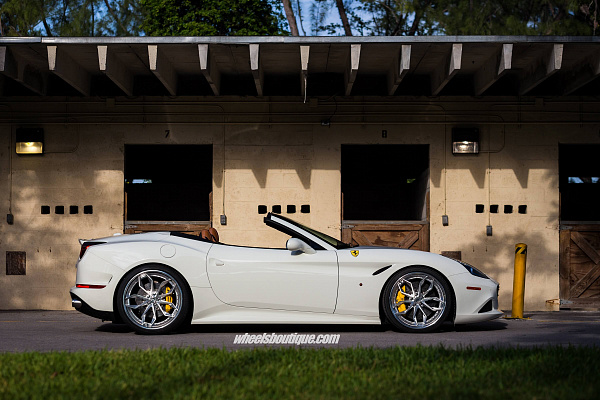 Фото дисков HRE S201 Глянцевый лак на Ferrari California