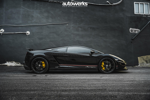 Фото дисков HRE P101 Черный глянец на Lamborghini Gallardo