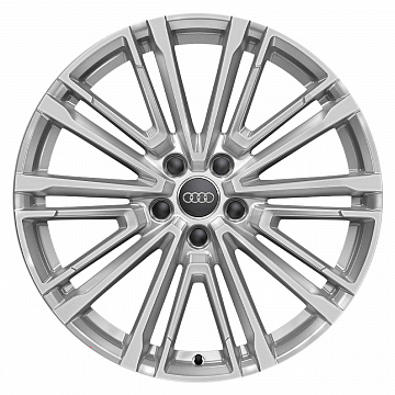 Кованые диски Audi 10 V Spoke