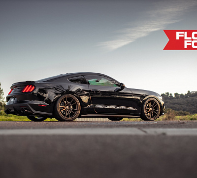 Фото дисков HRE FF04 на Ford Mustang VI