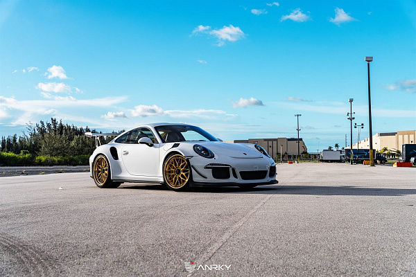 Фото дисков Anrky RS1 Сатиновое золото на Porsche 911 VII