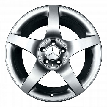 Кованые диски Mercedes-Benz 5 Spoke SLR