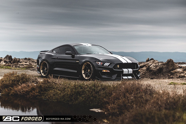 Фото дисков BC Forged HCA218 Черный глянец на Ford Mustang VI