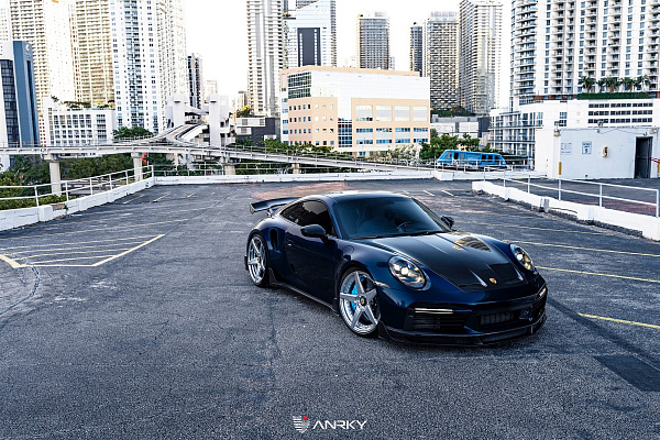 Фото дисков Anrky AN36-S Полированный лак на Porsche 911 VIII