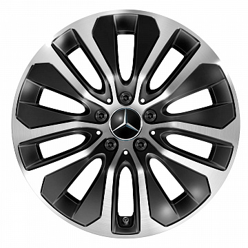 Кованые диски Mercedes-Benz 5 Double Spoke v6