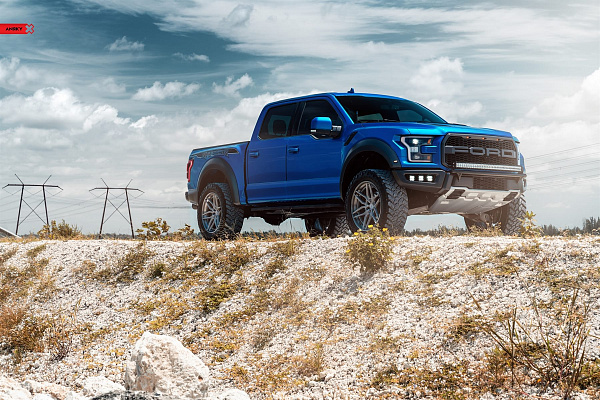 Фото дисков Anrky AN36 Сатиновый лак на Ford F-150 XIII