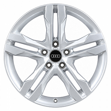 Кованые диски Audi 5 Twin Spoke Dynamic 8W