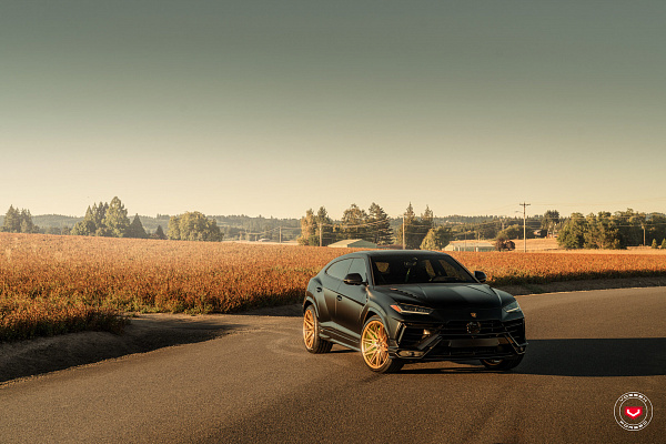 Фото дисков Vossen EVO-5 Глянцевое золото на Lamborghini Urus