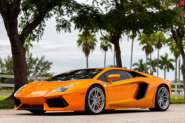 Фото дисков Anrky AN34 Сатиновый лак на Lamborghini Aventador