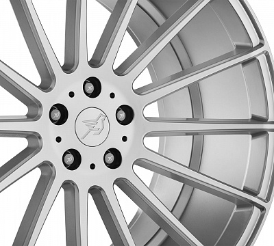 Hamman Anniversary Evo II