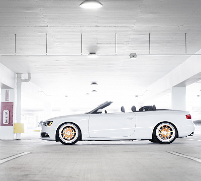 Rotiform OZT