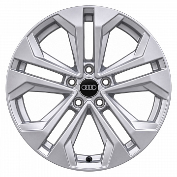 Кованые диски Audi 5 Double Spoke Allroad