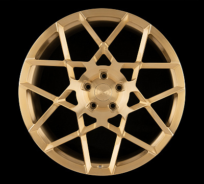 Avant Garde AGL55