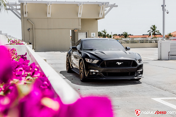 Фото дисков Vossen VFS-10 Глянцевая бронза на Ford Mustang VI