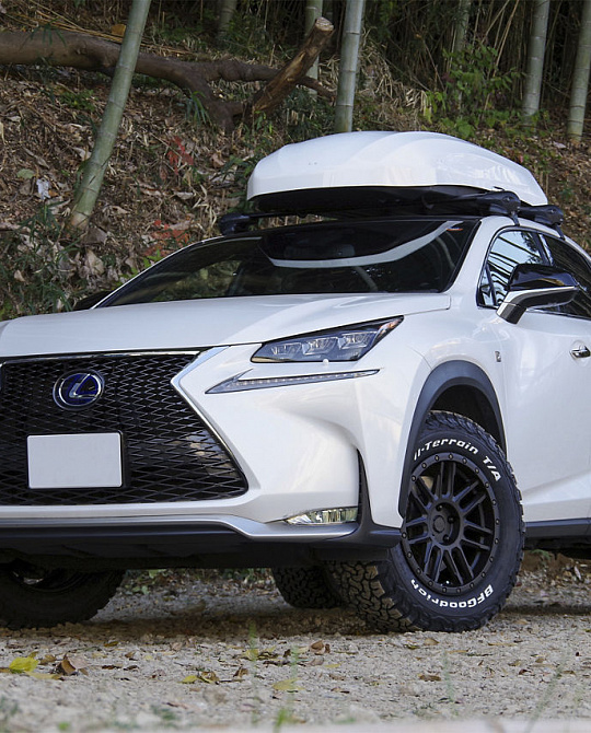 Фото дисков ARCHES Черный матовый на Lexus NX I