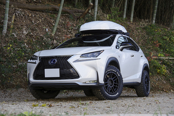Фото дисков Black Rhino ARCHES Черный матовый на Lexus NX I