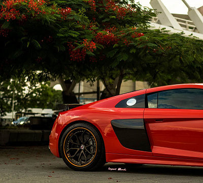 Фото дисков HRE S201 на Audi R8 (4S)