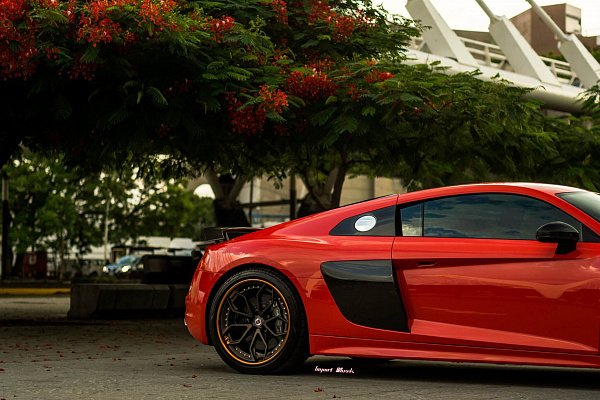 Фото дисков HRE S201 Сатиновая бронза на Audi R8 (4S)