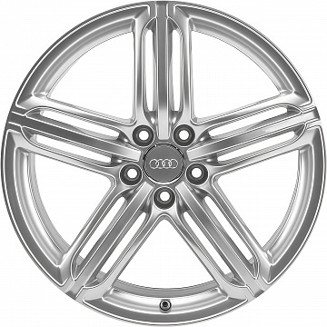 Кованые диски Audi 5 Segment Spoke v1