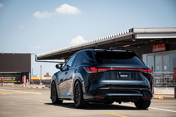 Lexus RX500H