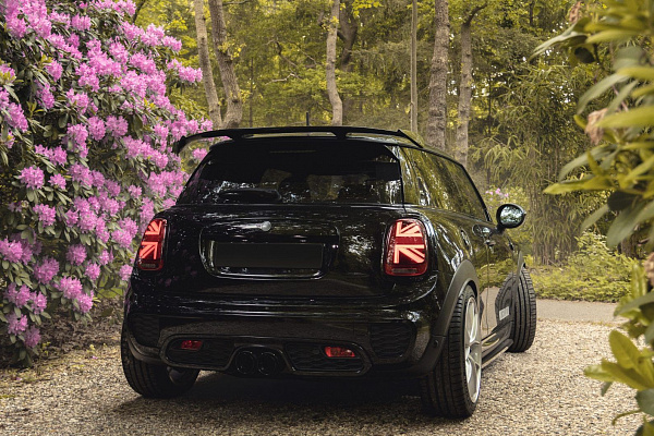 Фото дисков Bola FLE Сатиновый лак на MINI Cooper III