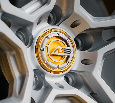 AL13 D002