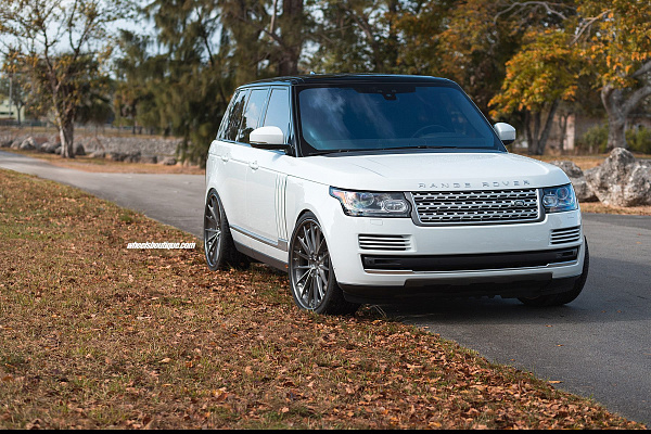 Фото дисков Anrky AN39 Глянцевый тонированный лак на Range Rover IV