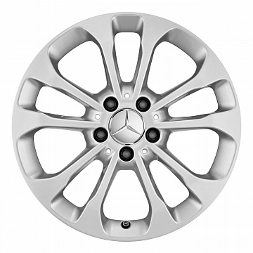 Кованые диски Mercedes-Benz 5 Twin Spoke v10