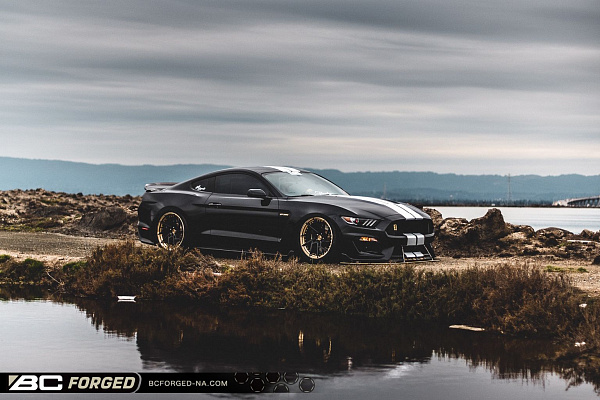Фото дисков BC Forged HCA218 Черный глянец на Ford Mustang VI