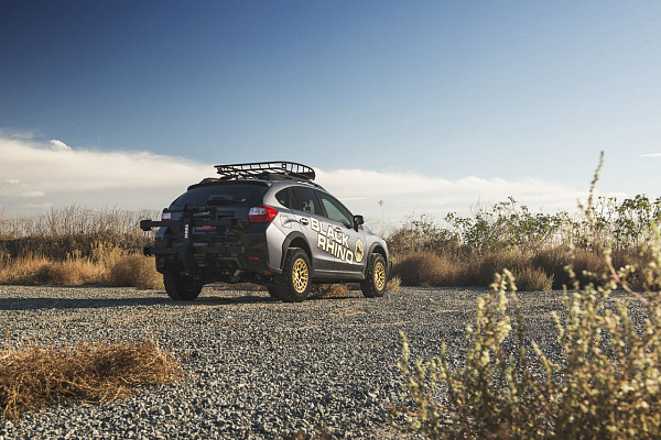 Фото дисков Black Rhino BOXER Сатиновое золото на Subaru XV GT