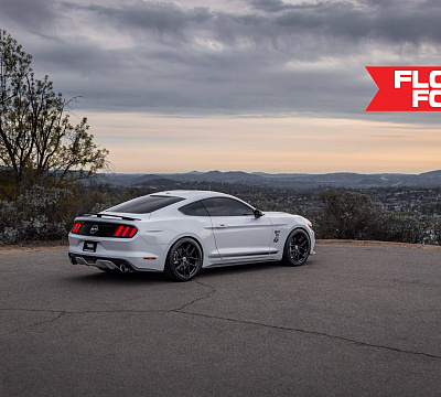 Фото дисков HRE FF21 на Ford Mustang VI